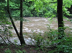 the Chattooga River