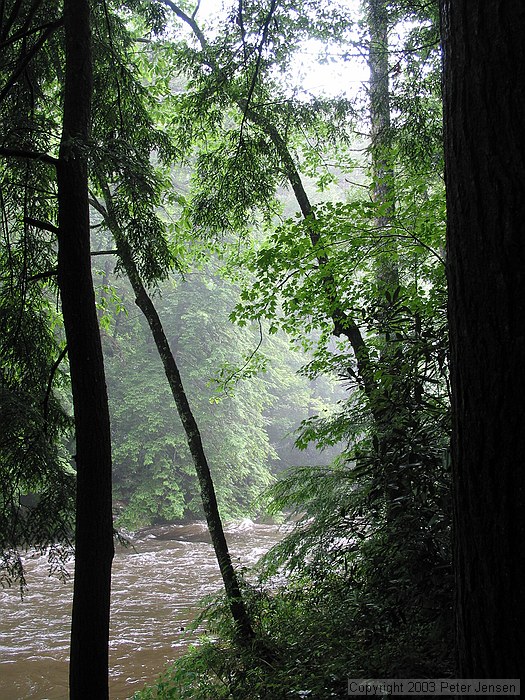 fog over the river