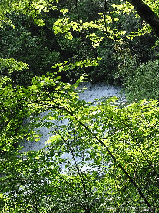 falls