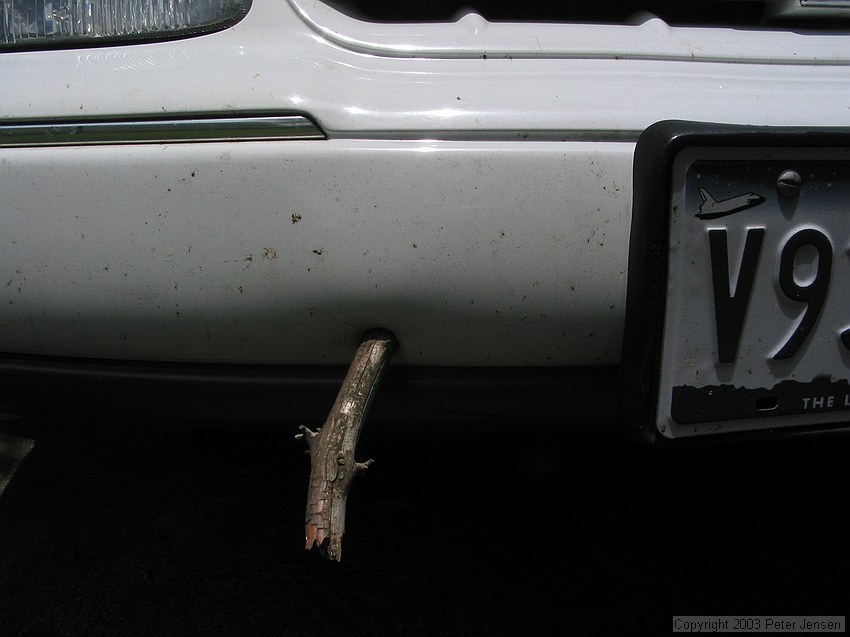 There were some sticks in our driveway down from a tree, and I drove over a few.  Little did I know one would puncture my plastic bumper and stick in...