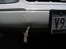 There were some sticks in our driveway down from a tree, and I drove over a few.  Little did I know one would puncture my plastic bumper and stick in...