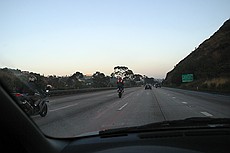 goofy motorcycle guys showing off by doing wheelies on San Diego