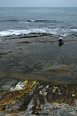 La Jolla beach