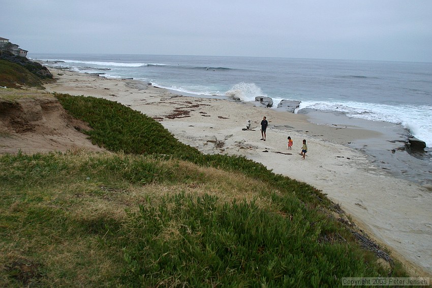 La Jolla beach