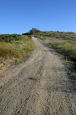 up the hill (which my rented Saturn SL2 did a fine job on, although the rear wheel drive jobs didn't take nearly so well.)