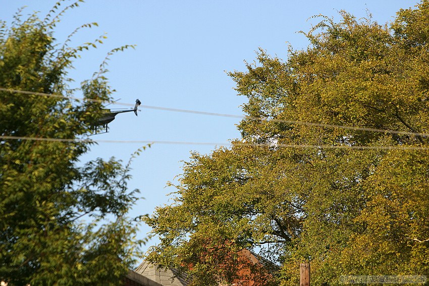 almost got a shot of the ATL police flying a little low over downtown