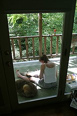 giving the dogs an early-morning haircut and toenail clip