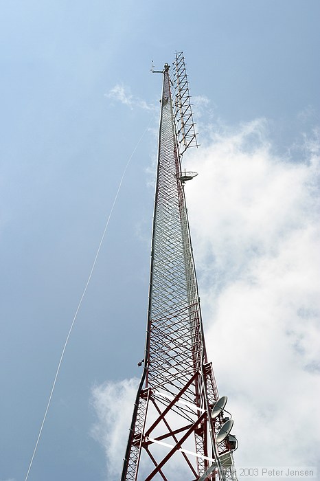 Micky climbing down after completing the job