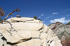 lunching at the top