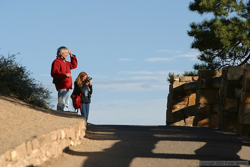 other early morning park visitors