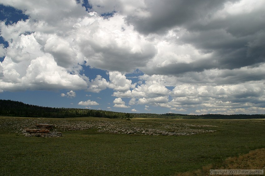 a meadow north of the Grand Canyon