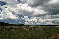 a meadow north of the Grand Canyon