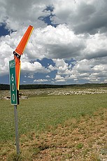 Zagi fun in the long open meadows on the way in to the north rim of the Grand Canyon National Park.  Charlie let me fly the Zagi while he drove.