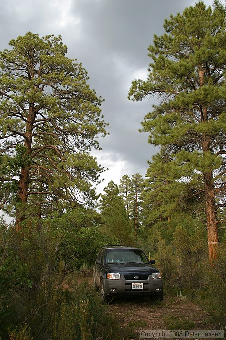 Charlie's truck after driving ~15 miles out into the national forest north of the Grand Canyon to the rim (where the NP begins)