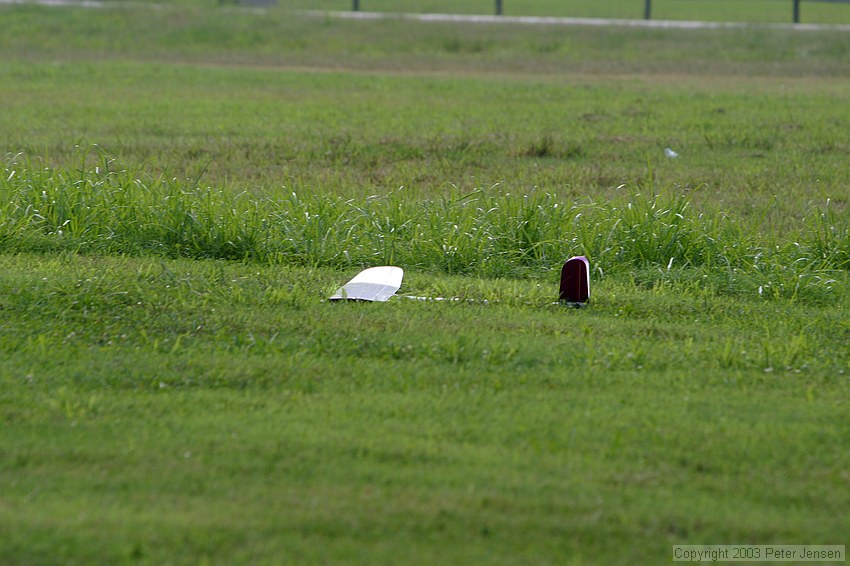 it's almost like there's a cat there and it's stalking prey