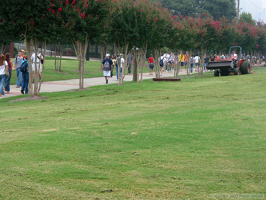 mowing at IC field