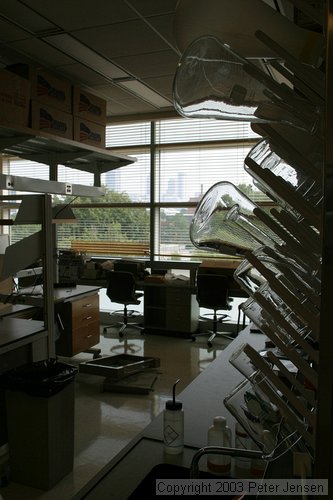 lab glass