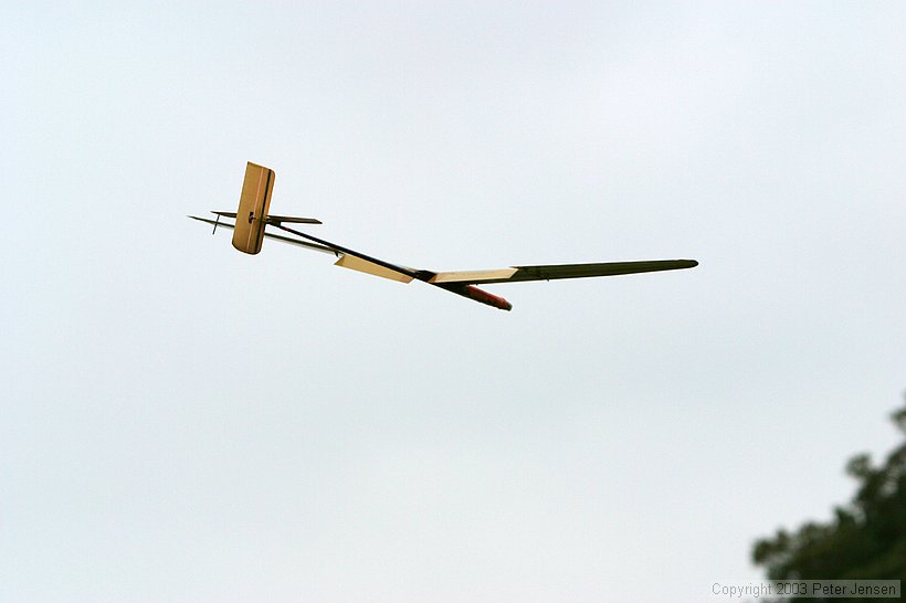 Breck's model flying with crow