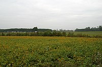 the contest site, as viewed from across a bean field on the way in