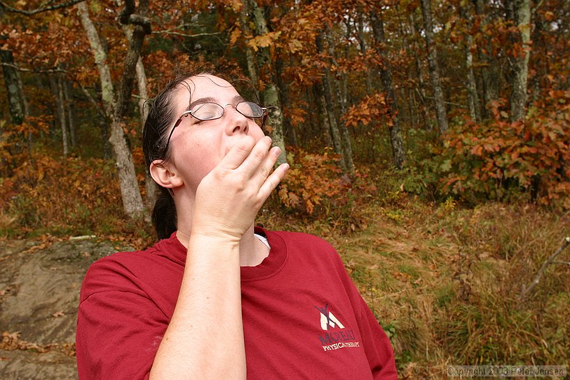 trail mix