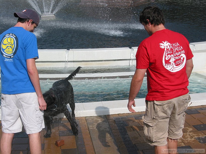 Yes, that's the brick that the dog has been fetching from the bottom of the fountain.