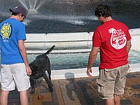 Yes, that's the brick that the dog has been fetching from the bottom of the fountain.