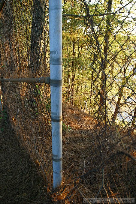 the proverbial hole in the fence