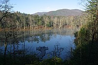 lake with dock