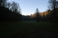 field out near the barn