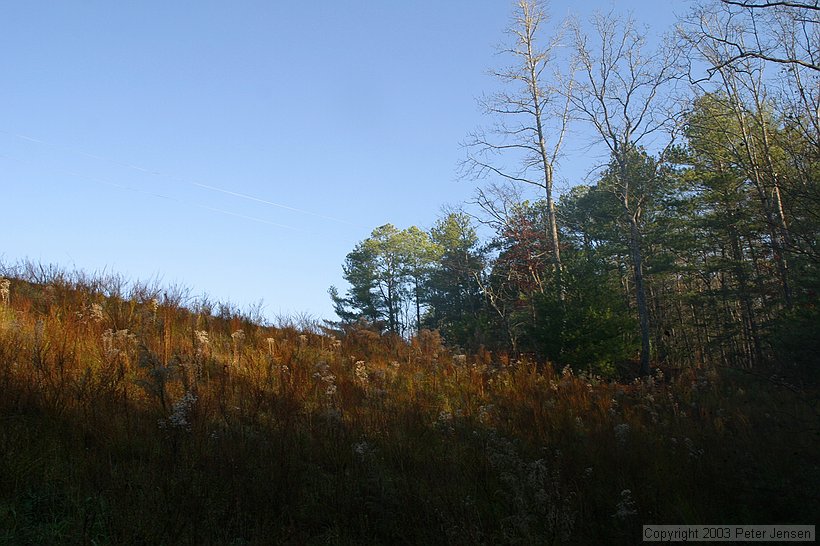 looking up the dam face