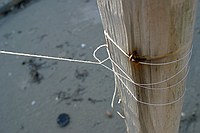 knot that held the kite