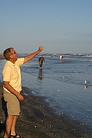 dad feeding the seagulls