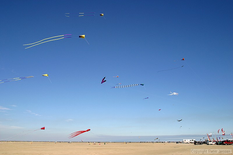 lots of kites on East Beach