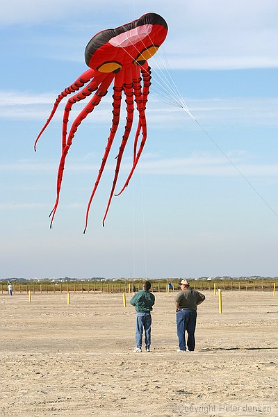 the octopus kite