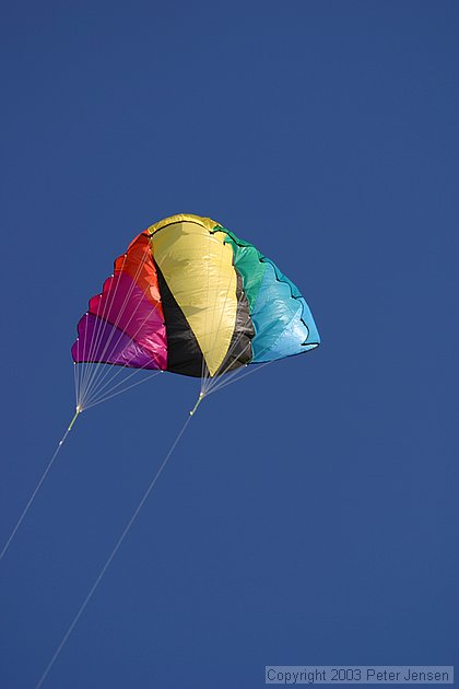 the kite up in the air
