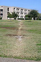 serendipitous paths are my favorite; this one is from an academic building to a residence hall