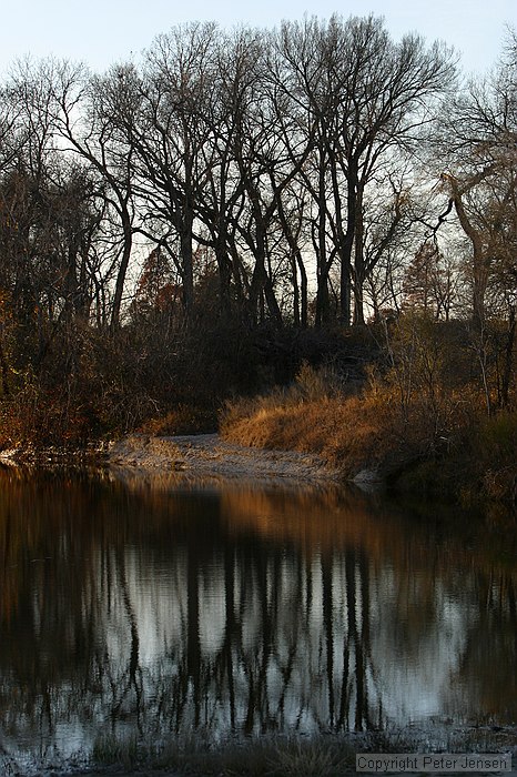 trees reflected in Onion Creek, McKinney Falls State Park