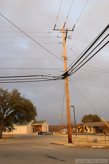 even a telephone pole is pretty when the light is this nice