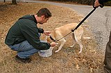 Bill giving Stella some water