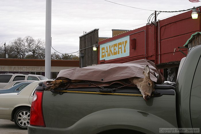 deer harvesting is a very common activity in these parts