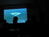 silly video in MAV class