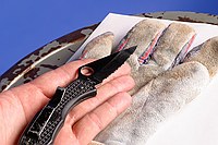 my pocket knife (again, trying to set lights and in need of something shiny to look for reflections)