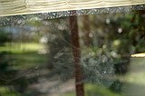 signs of navigation-inspired birds into the glass window