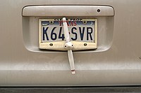 cool propeller license plate