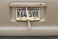 cool propeller license plate