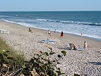 the beach