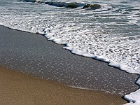 surf