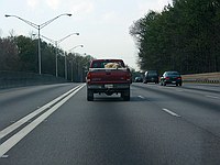 uncool animal treatment on I-75