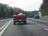 uncool animal treatment on I-75