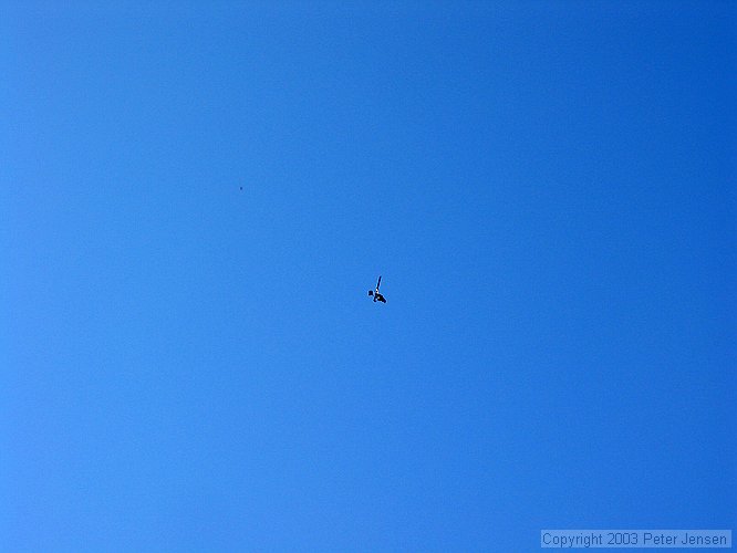 gyrocopter over RiverGreen